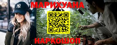 МДПВ Гай